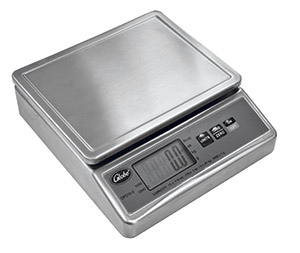 Stainless Steel Portion Control Scale